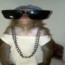 avestruz q te seduz