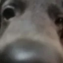 zerty_is_asleep