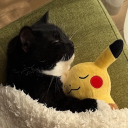 avatar AstroTheFurry