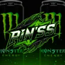 pinss1131