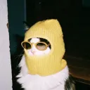 drippycatcs