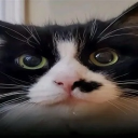 avatar бульбик=)