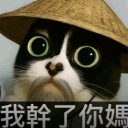 avatar бульбик=)