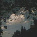 strella.r