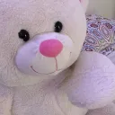 flyawaybear