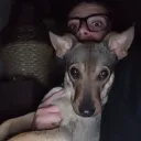 prosdocimo