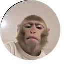 matovozk1n