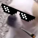 dayue666