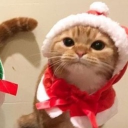 avatar Ms ᶜˡᵒᵘᵈʸ₊˚⊹☁