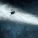 bugspray6570