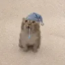 mrminino