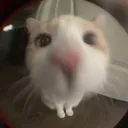 alexplays2433