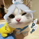 bunny.dev