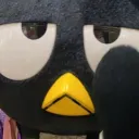 zdori