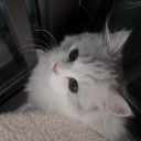 헤네