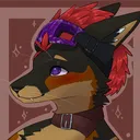 n1ghtthefox