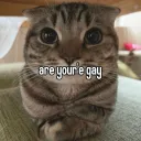 homophobe9659