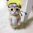 mahbubdev