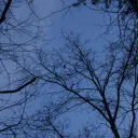 test6385