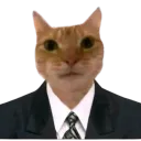 qmblitz