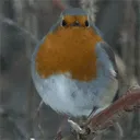 yaboimega