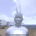 neivop