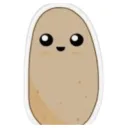 roog07