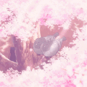 avatar 𝖘𝖈𝖆𝖗𝖑𝖊𝖙𝖙 𓋹