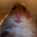 Discord Avatar