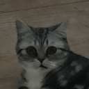 шляпа