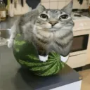 arliaug