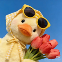 Discord Avatar