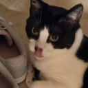 avatar jezelle | reze