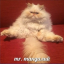 avatar Horny Master 1337