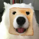 james_hooo