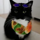 hdsd avatar