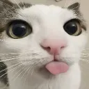 verticalshrink avatar