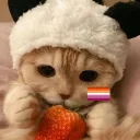 anafmiranda_