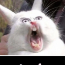 hunterdgross's Avatar