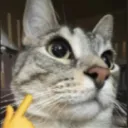 xqnder.xyz
