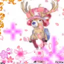 zensudc