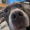 j_stockers27's Avatar