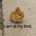 avatar 𝘚𝘯𝘪𝘬𝘬𝘪𝘦𝘳𝘴