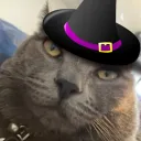 cinnnamon_