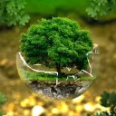 airorganic