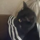 Аватар scam.xyz