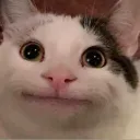 adventuregamer648816