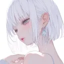 ame1100