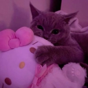 avatar 𝕾𝖙ᔰ𝖗𝖗