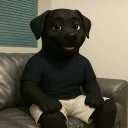 wyh_20.